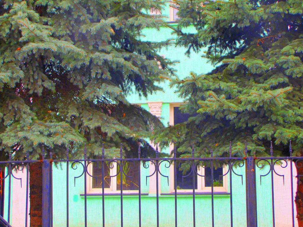 Guest House On Kaldaiakova 38 Almaty Bagian luar foto
